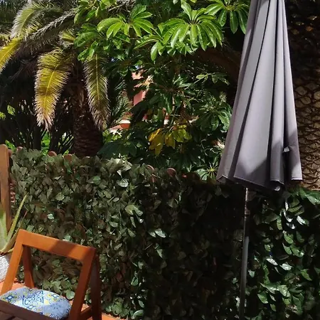 Starfish Playa Los Cancajos